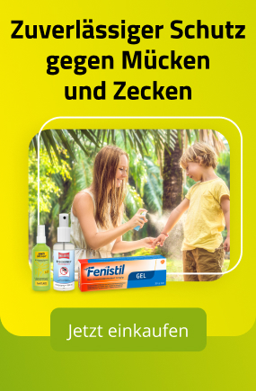 Insektenschutz